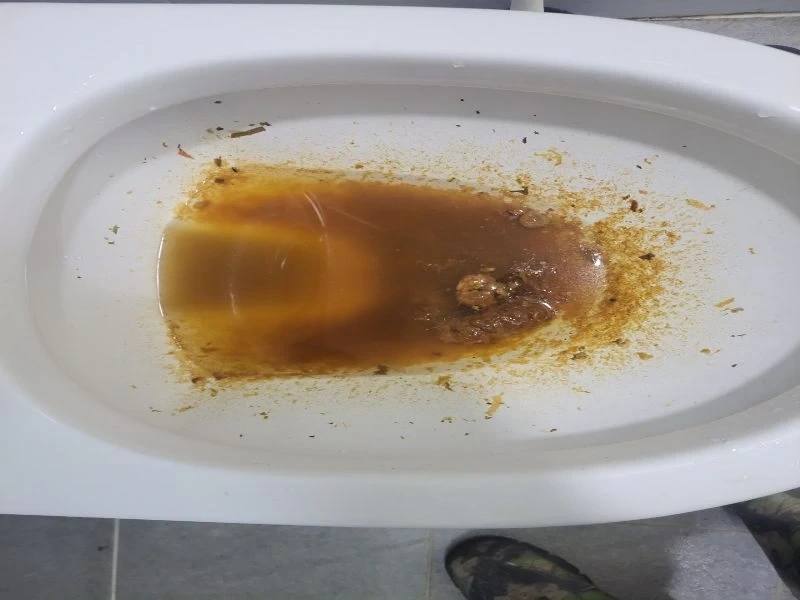광교 변기막힘 작업사례 2