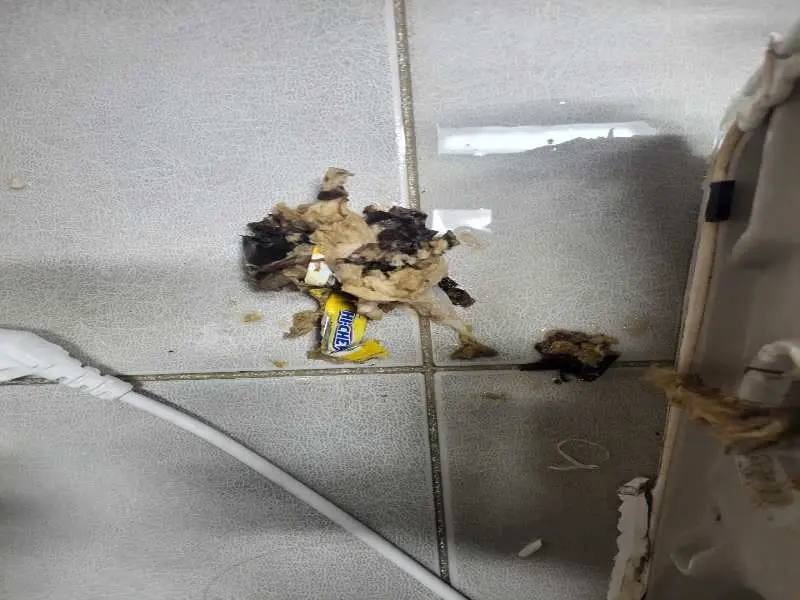 광교 변기 이물질 제거 사례 2